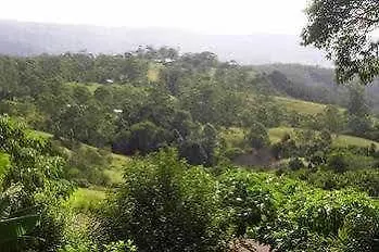 Top Cottage @ Maleny Australia